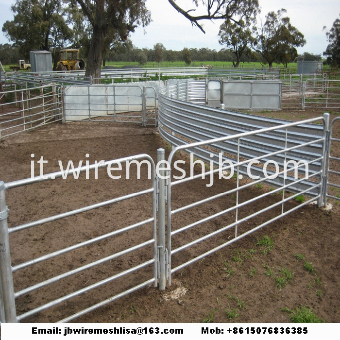 Hot Dipped Galvanized Metal Horse Fence Panel
